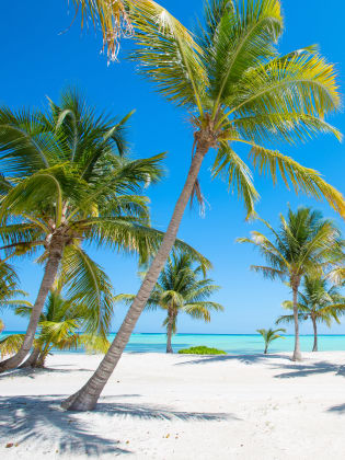 Idyllischen tropischen Strand mit Palmen