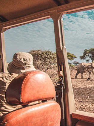 Elefanten auf Safari, Südafrika