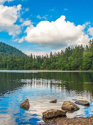 Feldsee, Feldberg (Schwarzwald), Baden Württemberg