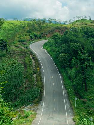 Autostraße die durch eine sehr begrünte Gegend verläuft © Shutterstock | Pipatpongchai