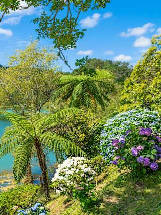 Lagoa das Furnas, Sao Miguel, Azoren