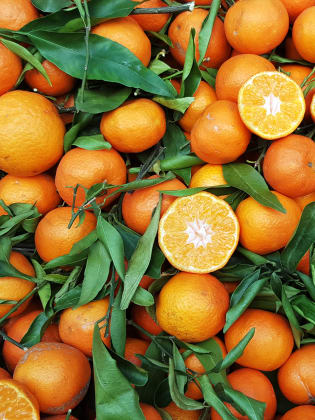 Orangen © Balint Radu/Adobe Stock