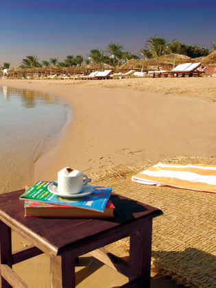 Vogel am Strand des Aqua Hotels Hurghada © Thomas Zwicker