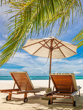 Sonnenliegen mit Schirm unter einer Palme direkt am Meer © Shutterstock