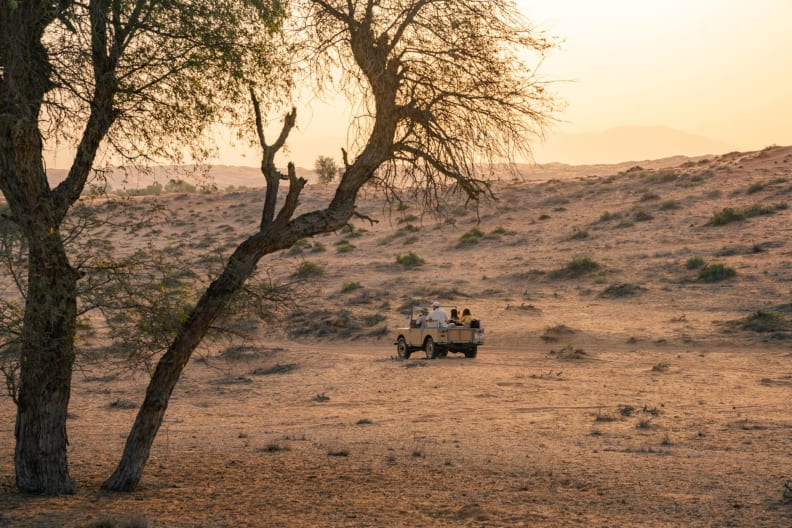 Wüstesafari, Ras Al Khaimah © Ras Al Khaimah Tourismus