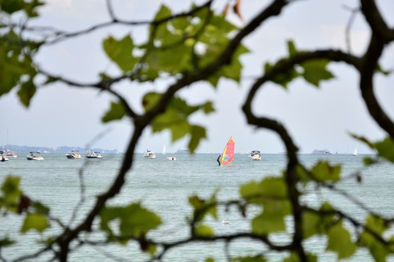 Blick durch Baum auf Windsurfer zwischen Booten auf dem Bodensee © iStock.com/cwzahner
