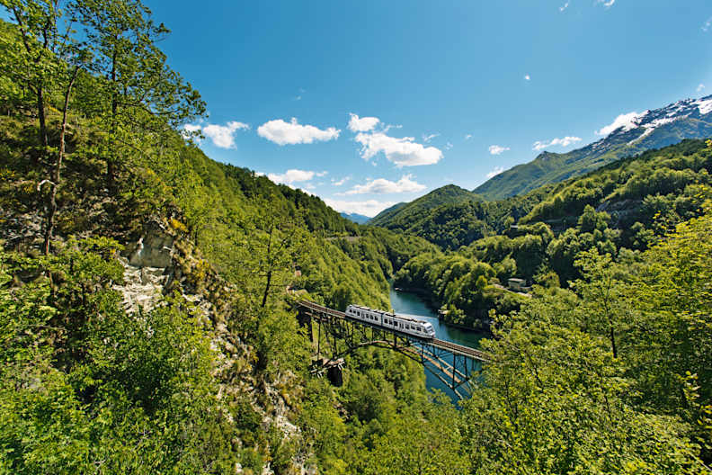 Ein Zug fährt über eine Eisenbahnbrücke durch ein bewaldetes Tal