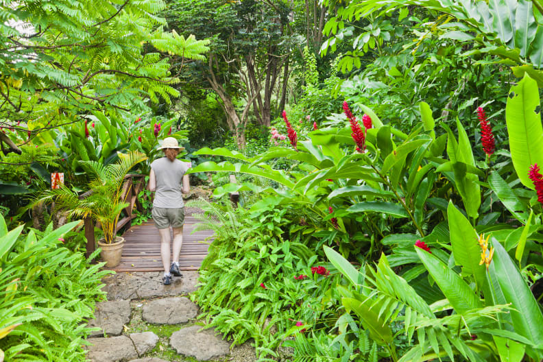 Die botanischen Gärten von Andromeda, Barbados ©Flavio Vallenari via GettyImages