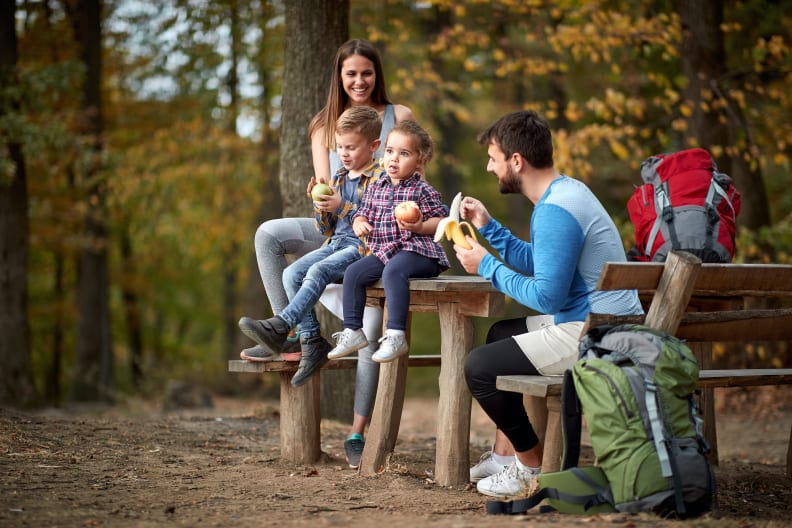 Familienpicknick im Wald © luckybusiness - stock.adobe.com