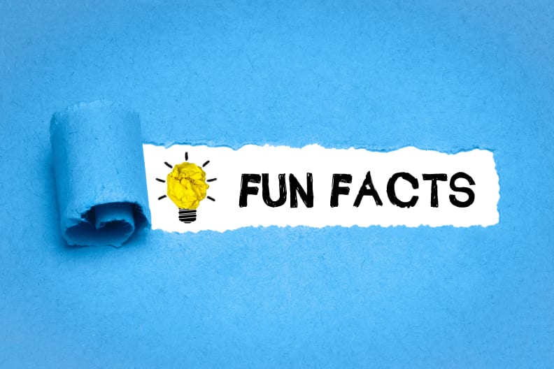 Fun Facts © magele-pictures - stock.adobe.com