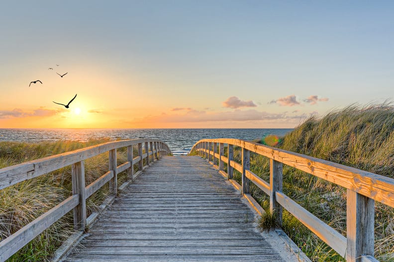 Ein langer Holzweg der Richtung Meer führt. Die Sonne geht unter und die Vögel fliegen über das Meer © Marco2811 - stock.adobe.com