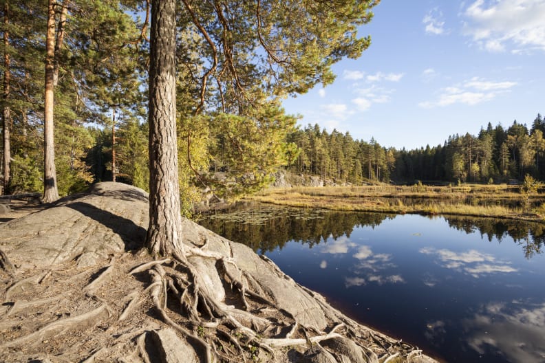Nuuksio National Park in Finnland ©Joao Inacio/Moment via Getty Images