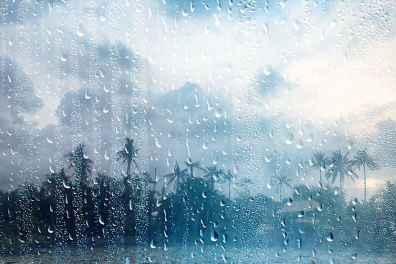 Fensterscheibe voller Regentropfen mit Regenwald im Hintergrund.