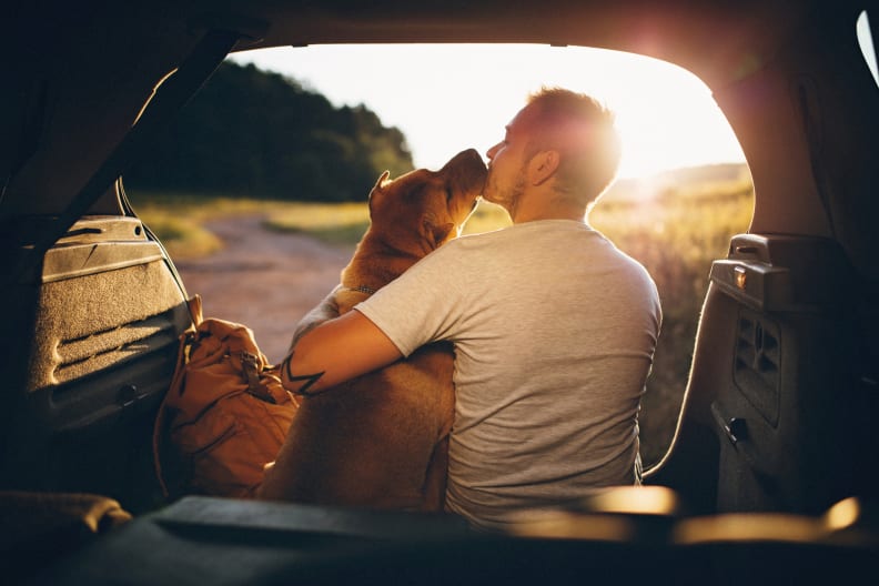 Reisen mit Hund ©PhotoAttractive/E+ via Getty Images