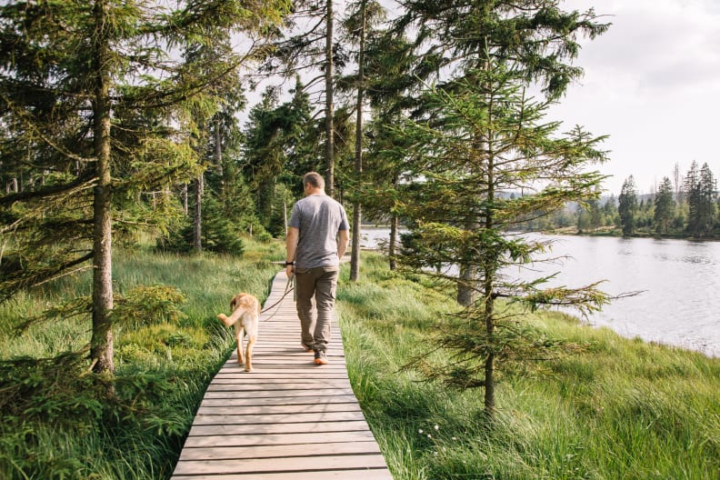 Spaziergang mit Hund ©Elena Medoks/Moment via Getty Images