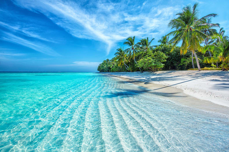 Ein herrlicher Tropenstrand © stock.adobe.com - Kyrenian