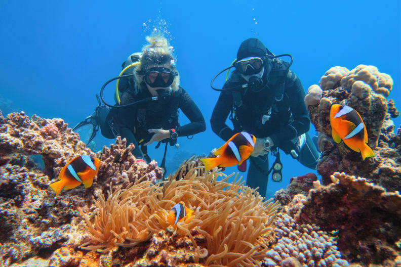 Taucher in der Nähe von schönen Korallenriffen beobachten Seeanemone und Familie von Zweibinden-Anemonenfischen © iStock.com/Tunatura
