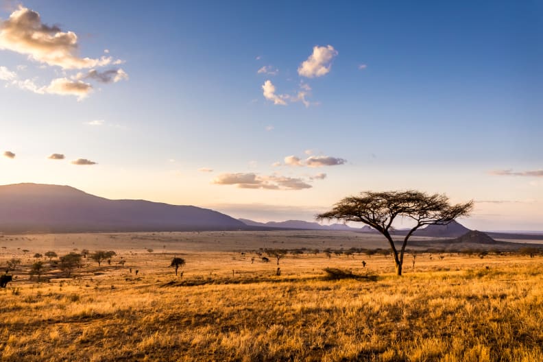 Tsavo East National Park, Kenia ©czekma13/iStock / Getty Images Plus via Getty Images