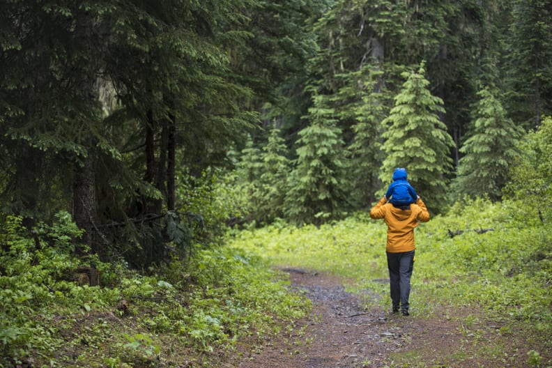 Wandern im Schwarzwald ©Cavan Images/Cavan via Getty Images