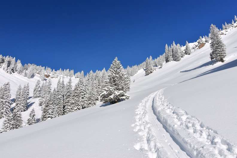Schneelandschaft mit Bäumen und Wanderpfad im Allgäu