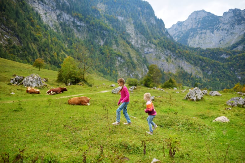 Zwei Schwestern auf Wanderwegen rund um den malerischen Königssee mit Kühen © iStock.com/MNStudio