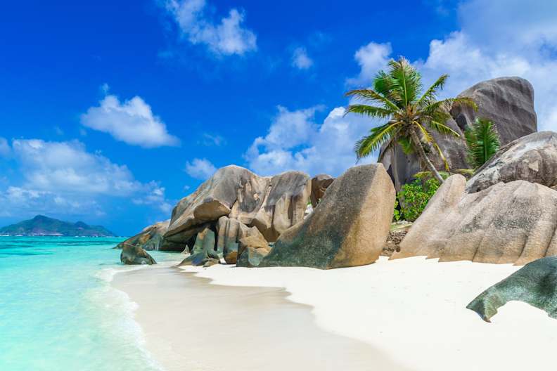 Ein Strand mit großen Felsen und einer Palme.