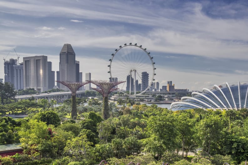 Blick auf den Gardens by the Bay und der Singapur Skyline.