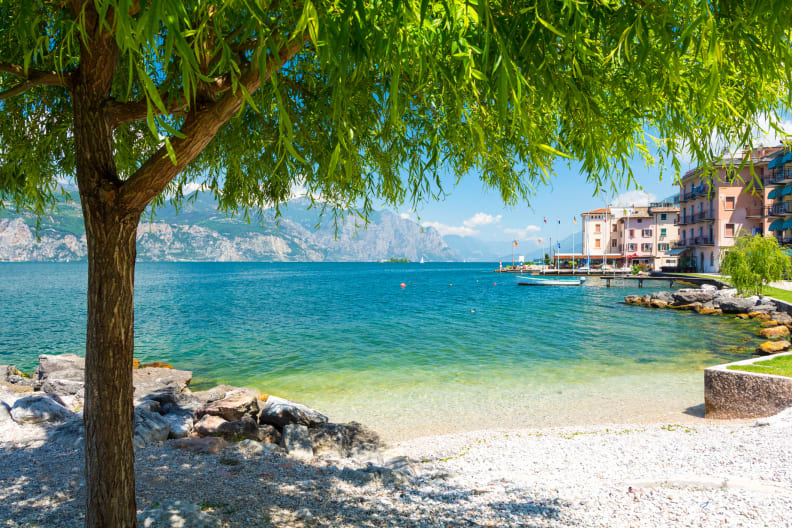 Ein Baum steht an einem Strand am Gardasee, Italien.