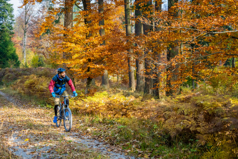 Ein Mann fährt mit dem Mountainbike durch einen Herbstwald.