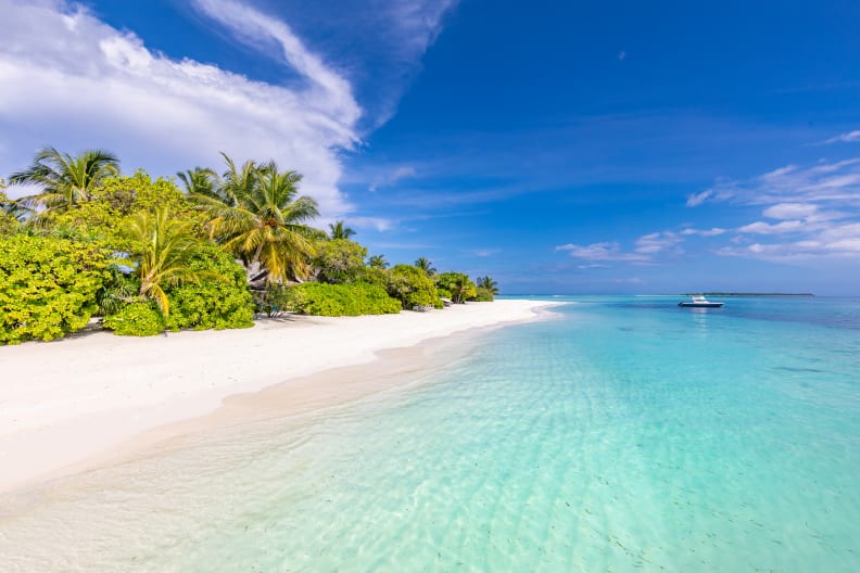 Ein tropischer Strand mit Palmen und türkisfarbenem Wasser auf den Malediven.