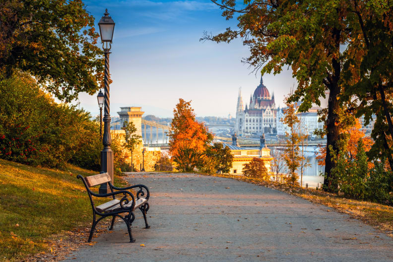 Eine Bank in einem herbstlichen Park mit Blick auf das Parlament in Budapest, Ungarn.