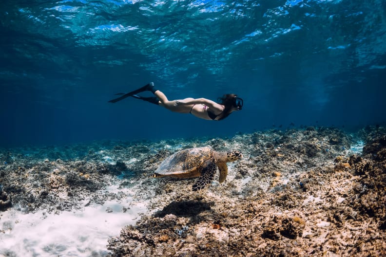 Eine Frau taucht unter Wasser neben einer Schildkröte.