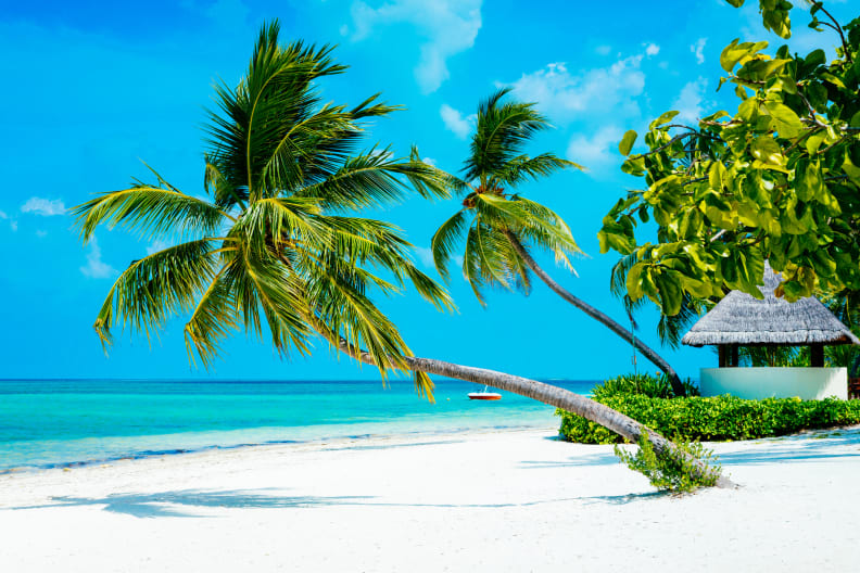 Eine Hütte und Palmen an einem Strand, Malediven.