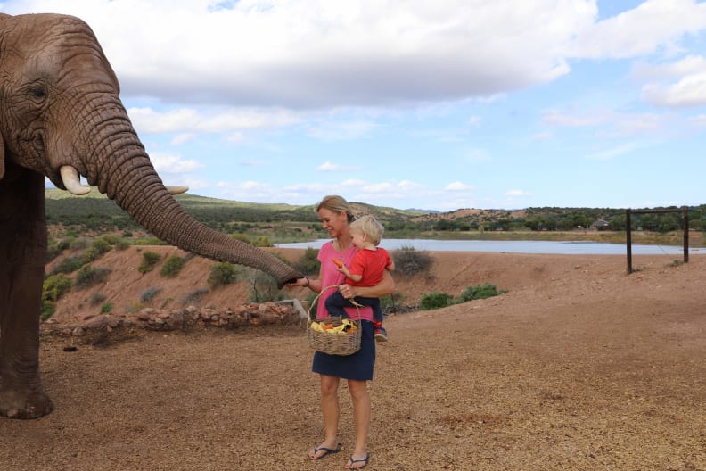 Eine Frau füttert mit ihrem Kind auf dem Arm einen Elefanten in Südafrika.