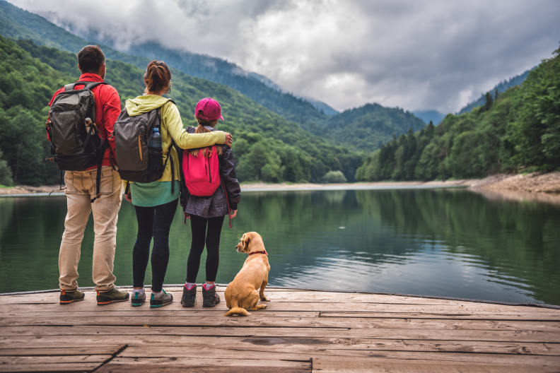 Familienwanderung mit Wund © kerkezz - stock.adobe.com