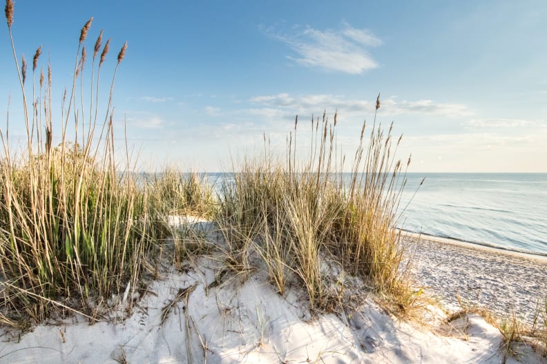FKK-Strände an Deutschlands OSt- und Nordsee © Adobestock/haiderose