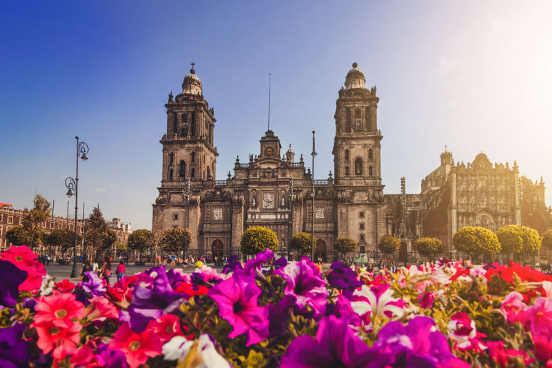 Froschperspektive auf eine Kathedrale vor einem Meer aus Blumen