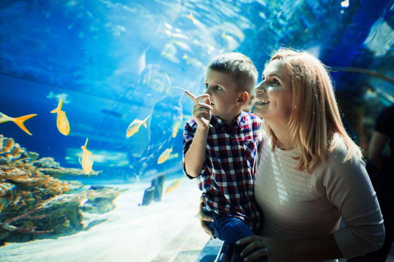Mutter und Kind im Sea Life © NDABCREATIVITY