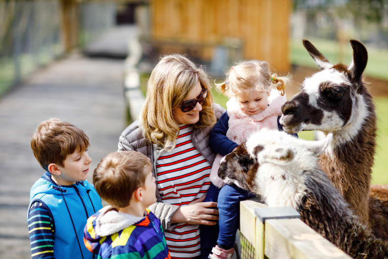 Mutter und Kinder im Streichelzoo © Irina Schmidt – stock.adobe.com