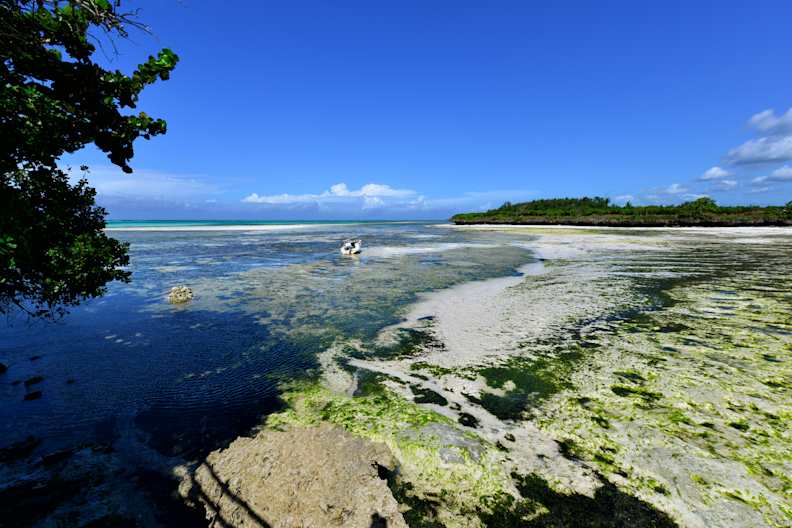 Ein leerer Strand mit einem einzelnen Boot in der Entfernung