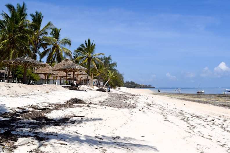 Blick auf den Shanzu Beach. Links sind Palmen zu sehen. Der Sand ist hell und in der Ferne ist das Meer zu sehen