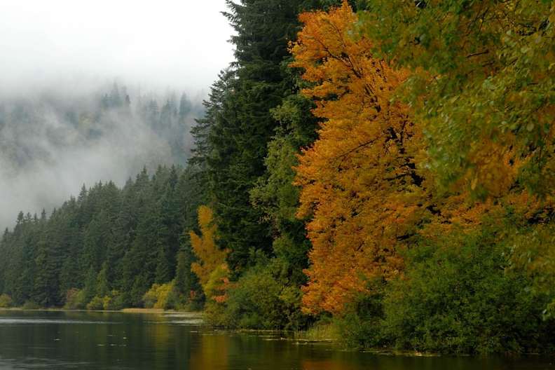 Im Herbst leuchtet der Bayerische Wald in den schönsten Farben. © imago images/Zoonar/Karin Jähne