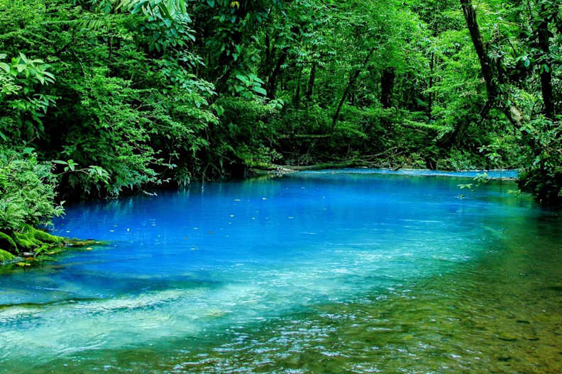 Der Rio Celeste in Costa Rica leuchtet in schimmernden Grün- und Blautönen. © Tanguy de Saint-Cyr/Shutterstock.com