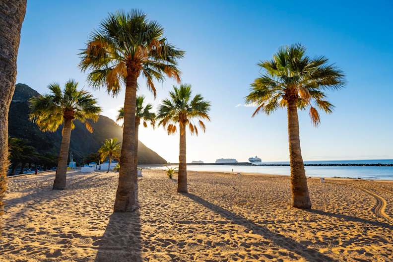 Strand mit Palmen und Kreuzfahrtschiffen am Horizont auf den Kanaren, Spanien.