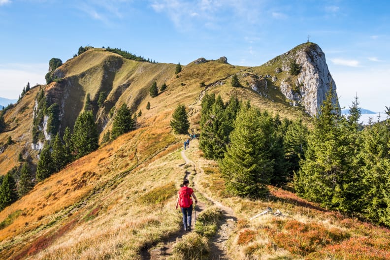 Brauneck im Schwarzwald © Frank Krautschik – stock.adobe.com