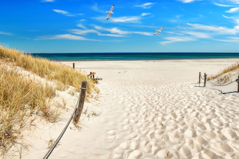 Zwei Möwen fliegen über einen Ostseestrand.