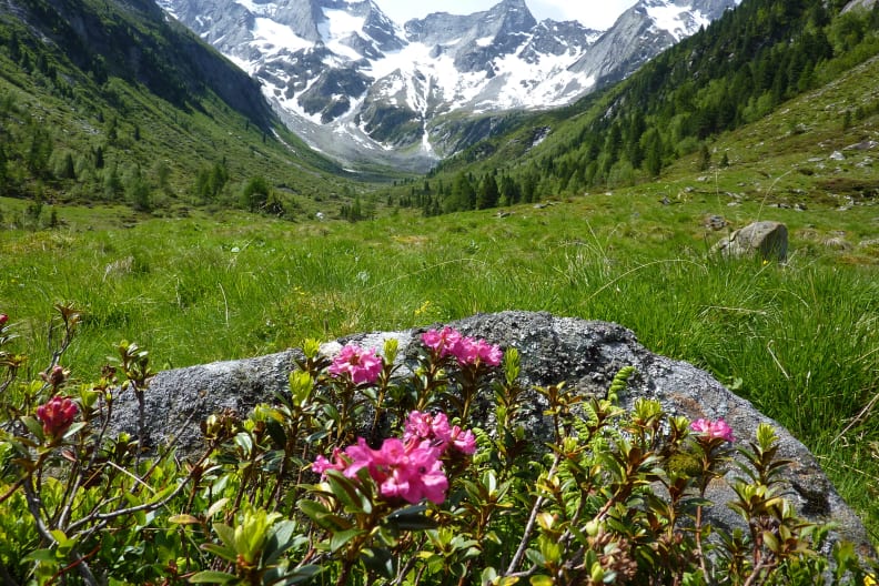 Bergblick Suedtirol, Italien.
