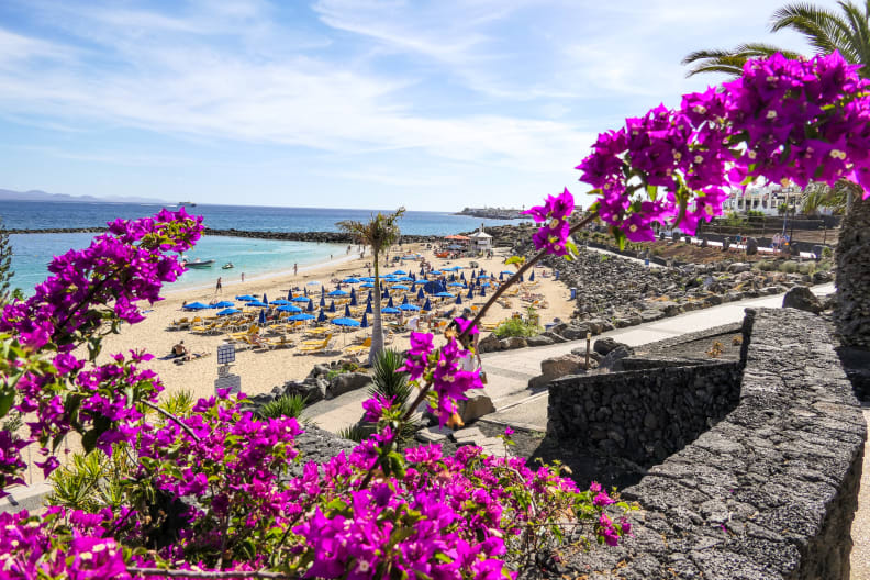 Blick durch violette Blumen auf den Strand von Playa Blanca auf Lanzarote