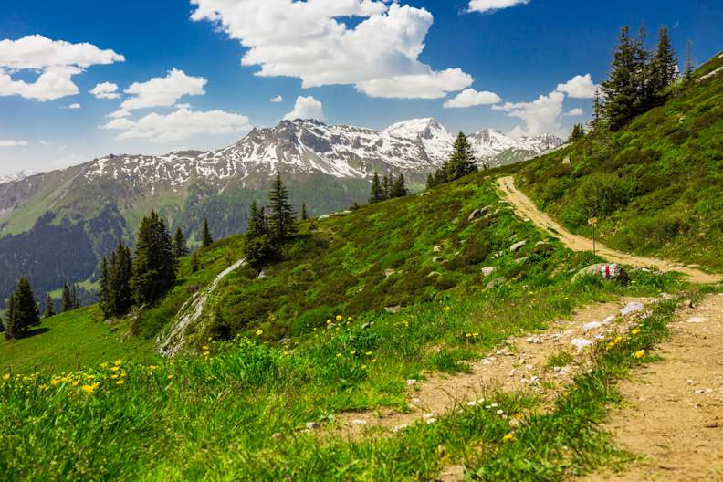 Wanderweg mit Blick auf die Schweizer Berge