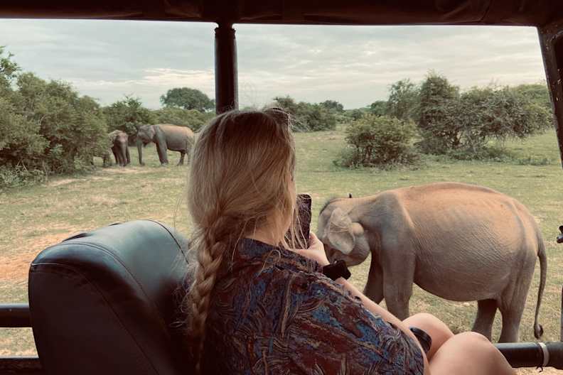 Nele fotografiert die Elefanten im Yala Nationalpark, Sri Lanka © Nele Gerken